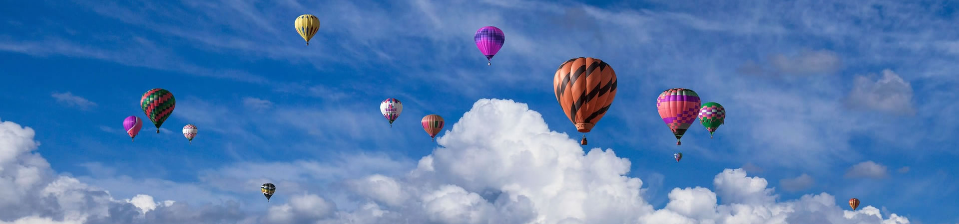 娱乐平台白菜发布介绍